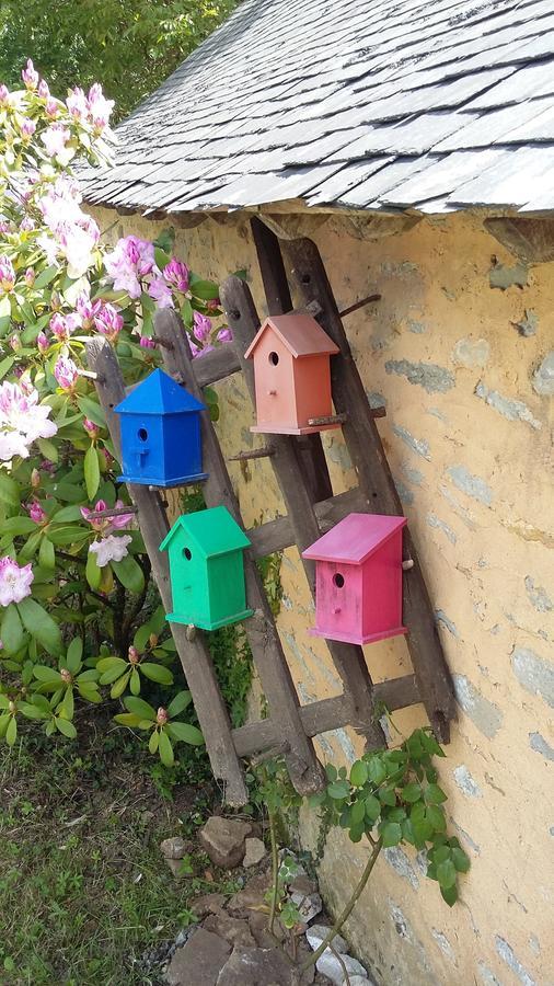 Le Moulin D'Hys Bed & Breakfast La Cropte Dış mekan fotoğraf